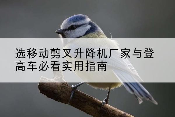 沐川电动升降机厂家-选移动剪叉升降机厂家与登高车必看实用指南