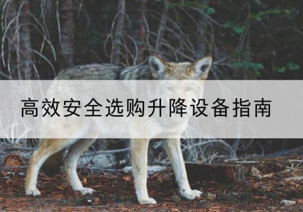 沐川升降货梯厂家推荐-*安全选购升降设备指南